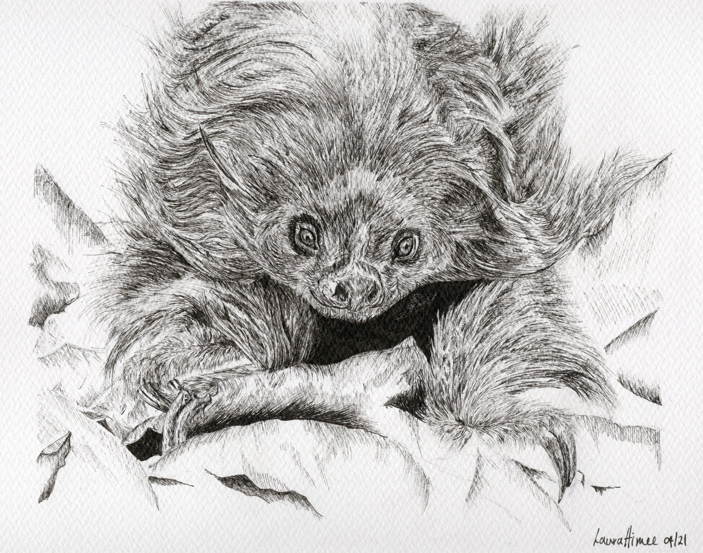 Sloth Fineliner Pen Drawing