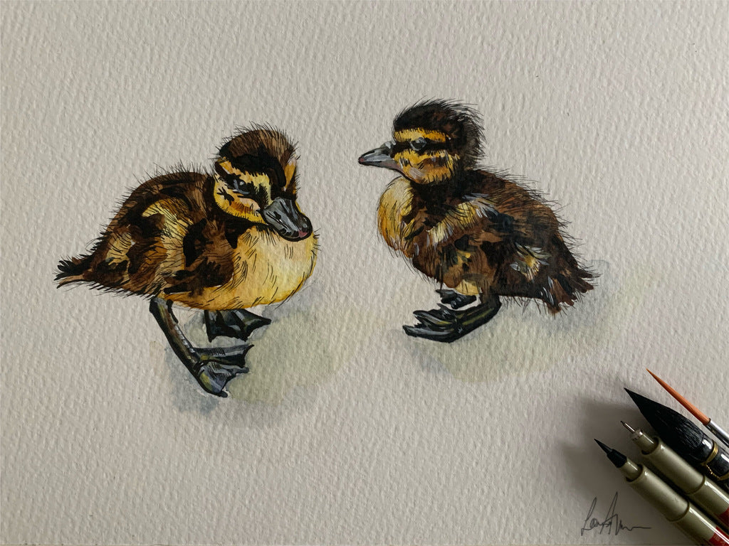 Duckling Watercolour & Fineliner Painting