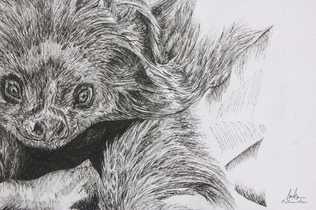 Sloth Fineliner Pen Drawing