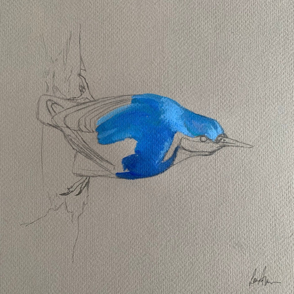 Nuthatch Bird Acrylic Painting