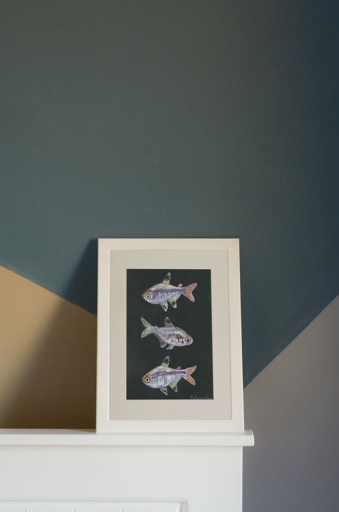 X-Ray Tetra Fish Pastel Drawing