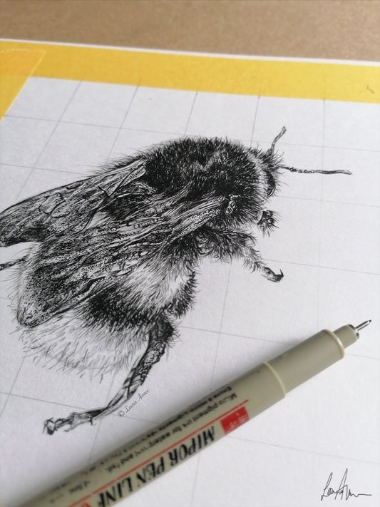 Bumble-Bee Finerliner pen drawing (1/3)