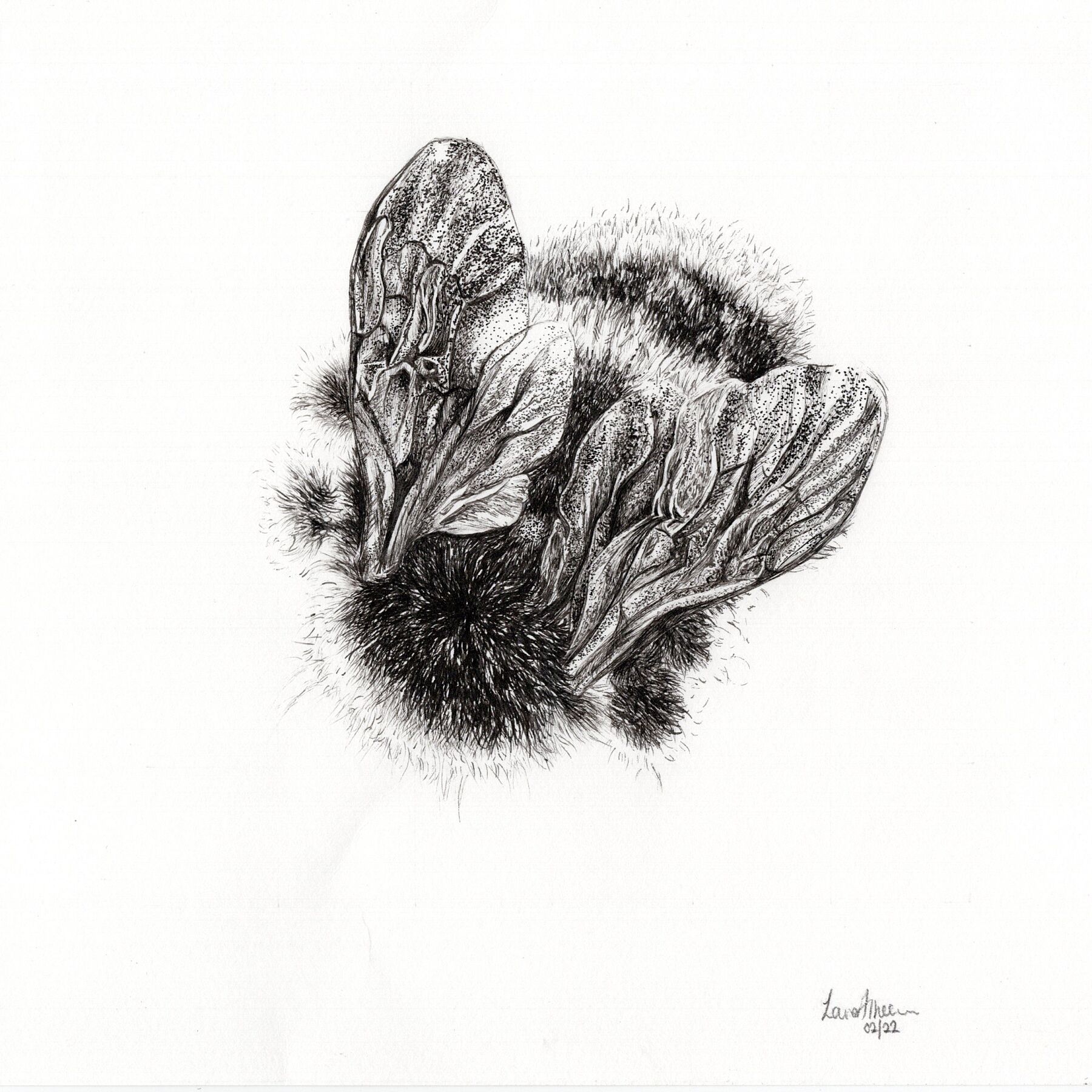 Fineliner Bee Collection