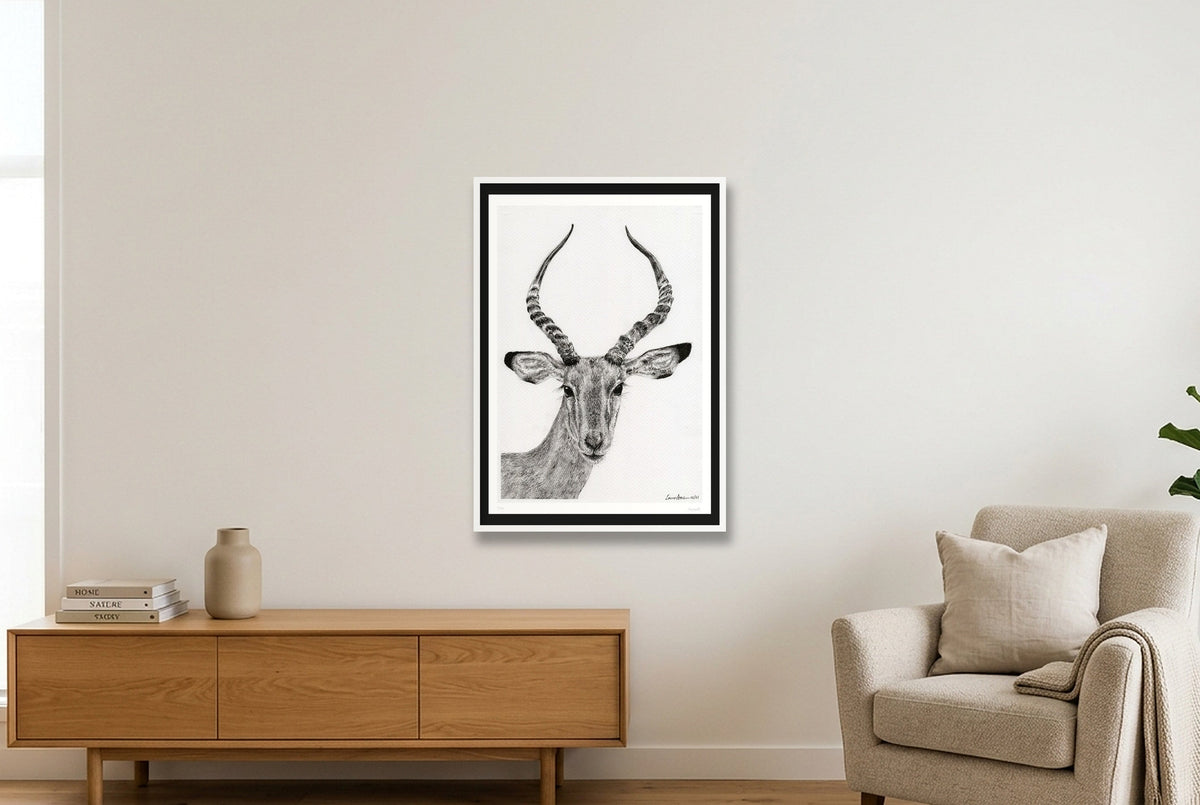 Impalla Giclee Print — 70×100cm, 28×39" White Frame