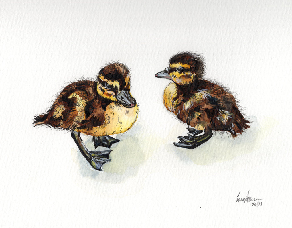 Duckling Watercolour & Fineliner Painting
