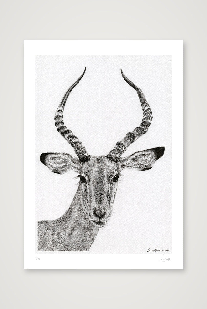 Impalla Print — 70×100cm, 28×39" Print only