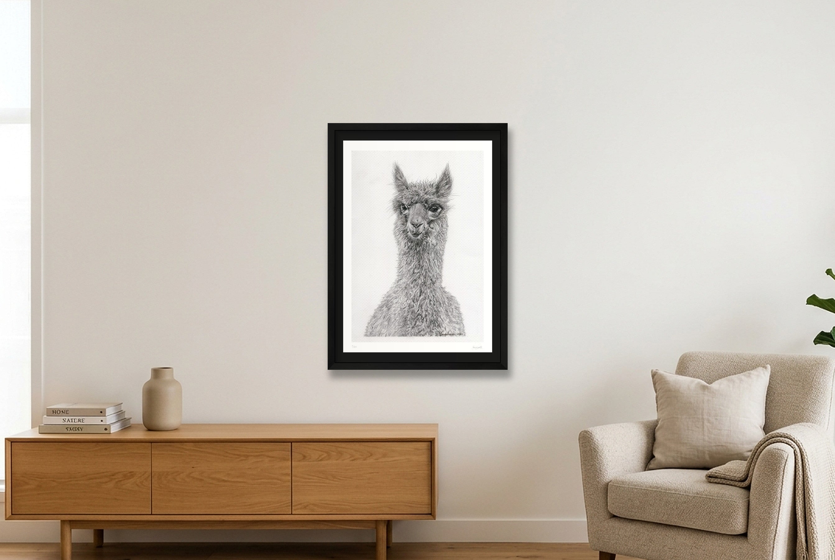 Alpaca Graphite Giclee Print — 42×59cm, 17×23" Black Frame