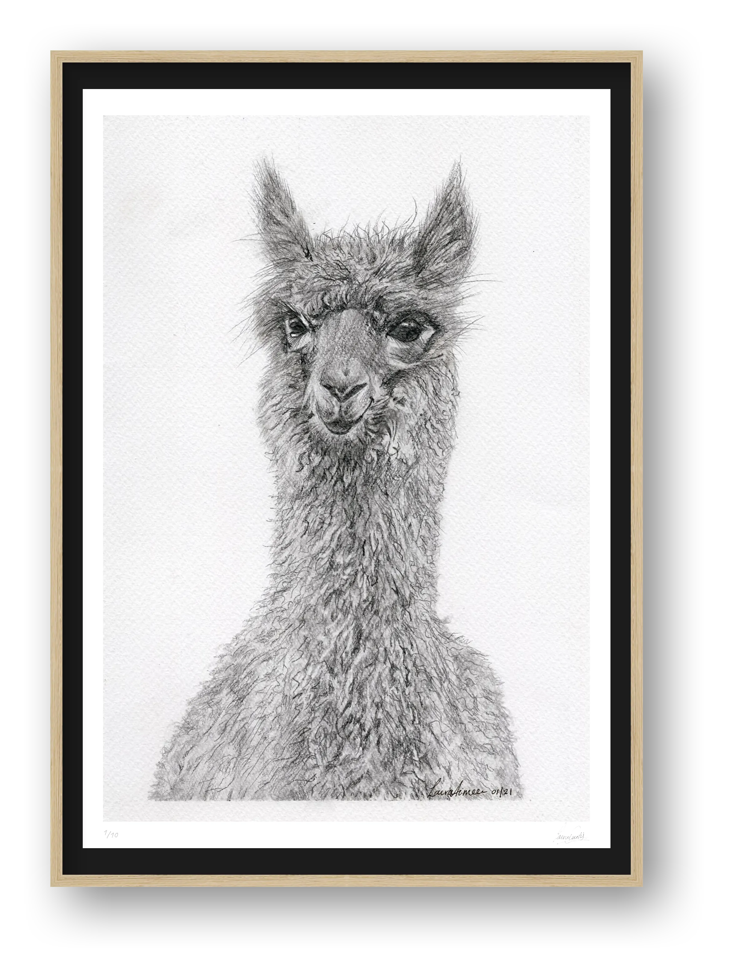 Alpaca Graphite Giclee Print — framed