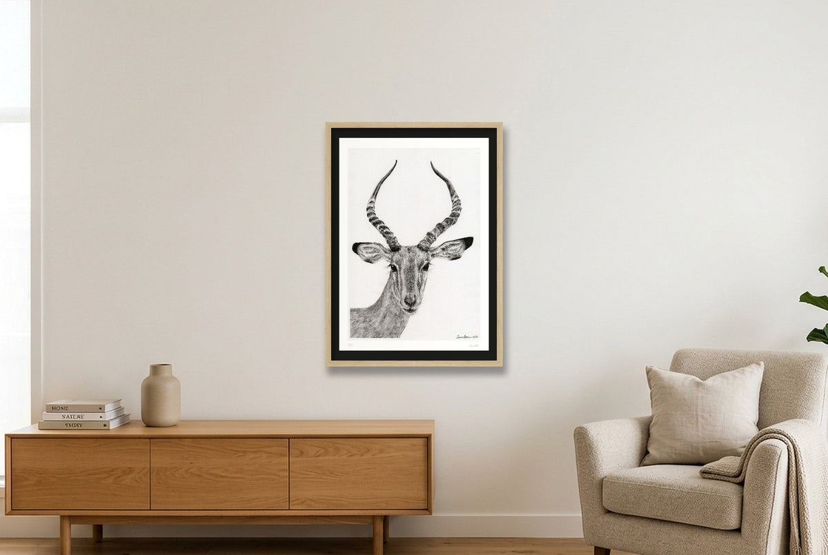 Impalla Giclee Print — 42×59cm, 17×23" Oak Frame