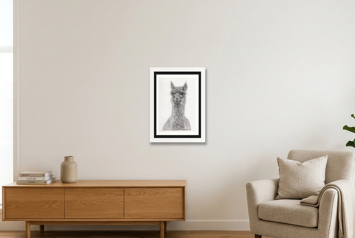 Alpaca Graphite Print  — A4 (21×30cm, 8×12") White Frame