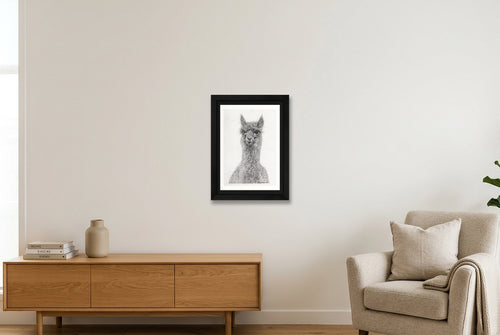 Alpaca Graphite Print  — A4 (21×30cm, 8×12") Black Frame