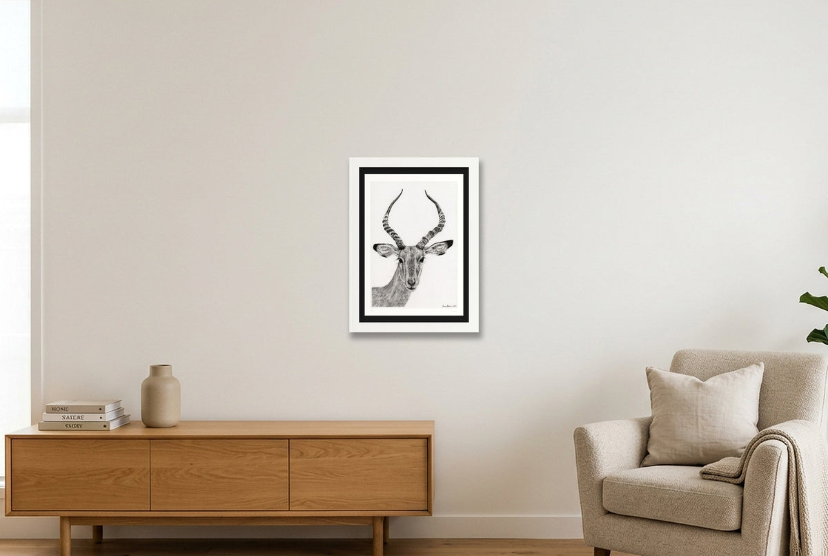 Impalla Print — A4 (21×30cm, 8×12") White Frame