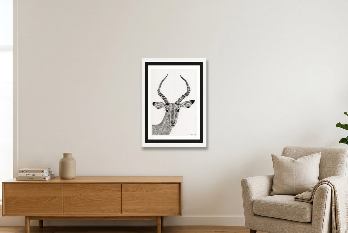 Impalla Giclee Print — A3 (30×42cm, 12×17") White Frame
