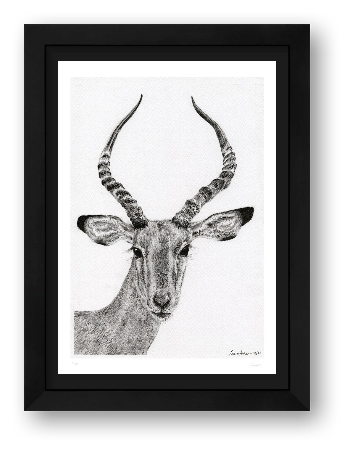 Impalla Giclee Print — framed