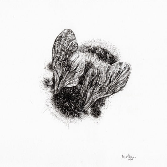 Bumble-Bee Fineliner Pen Drawing (2/3)