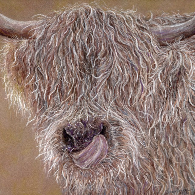 Highland Cow Pastel Drawing