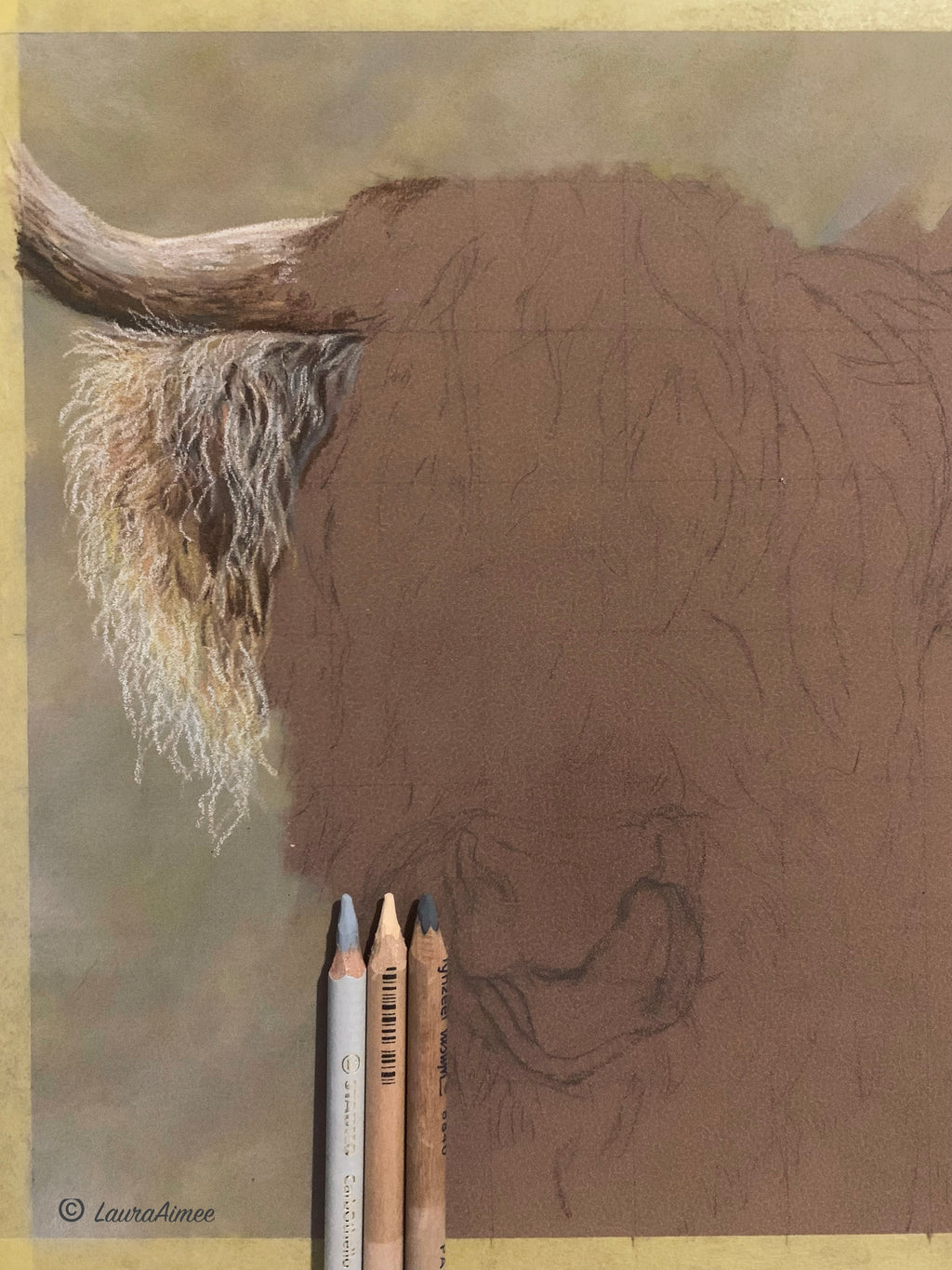 Highland Cow Pastel Drawing
