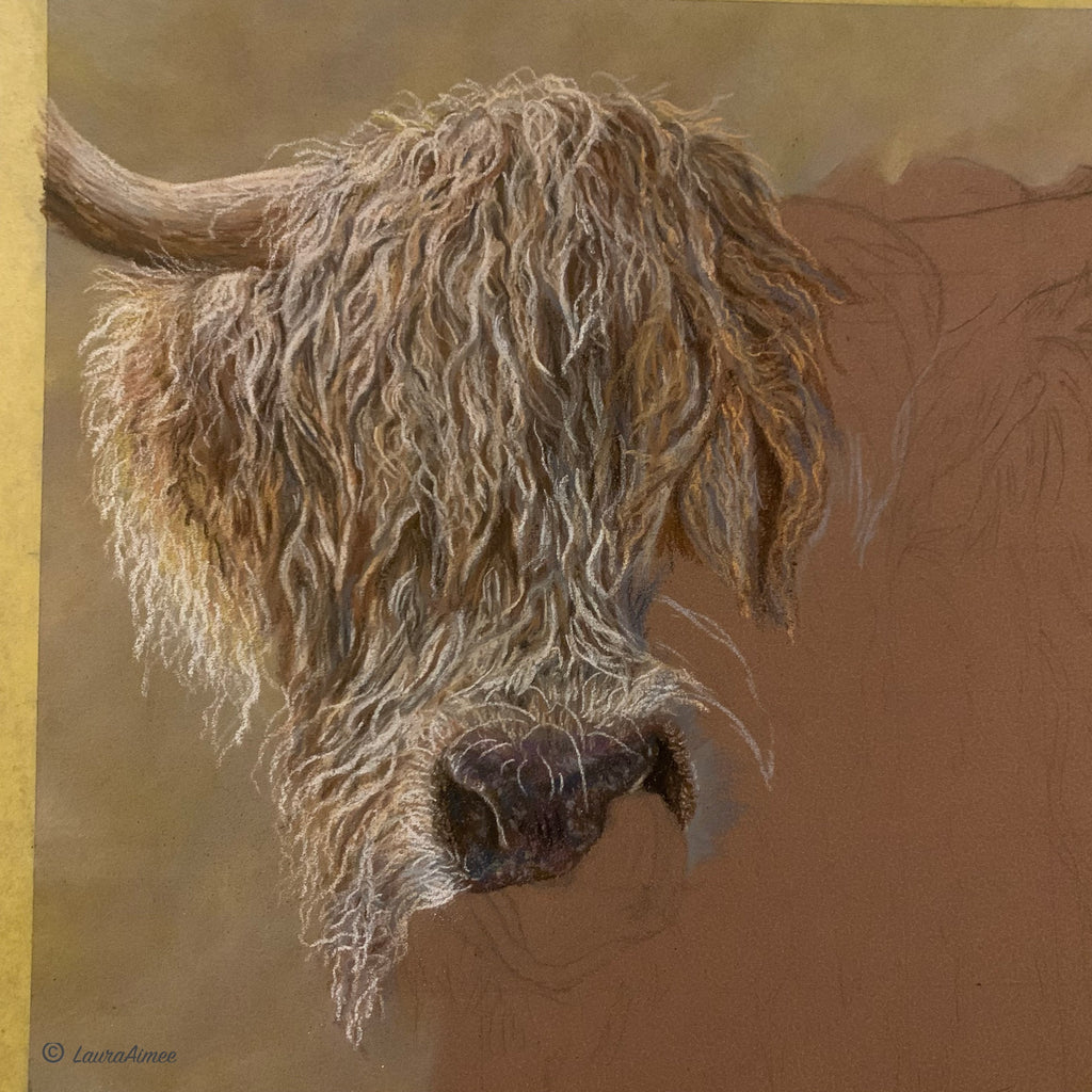 Highland Cow Pastel Drawing