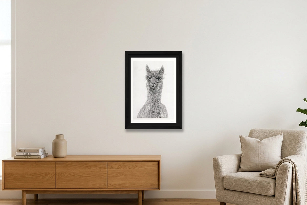 Alpaca Graphite Print  — A3 (30×42cm, 12×17") Black Frame