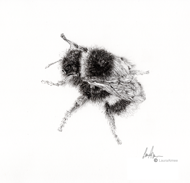 Bumble-Bee Fineliner pen drawing (3/3)