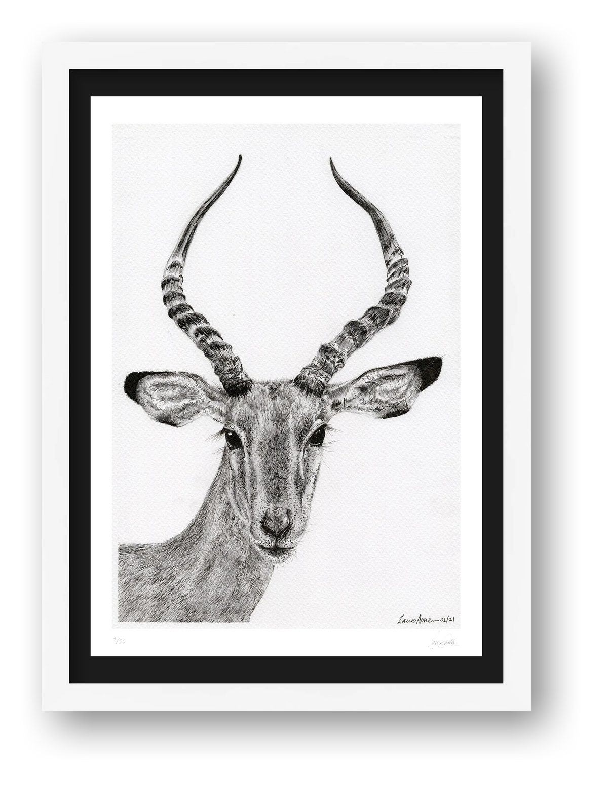 Impalla Print — framed