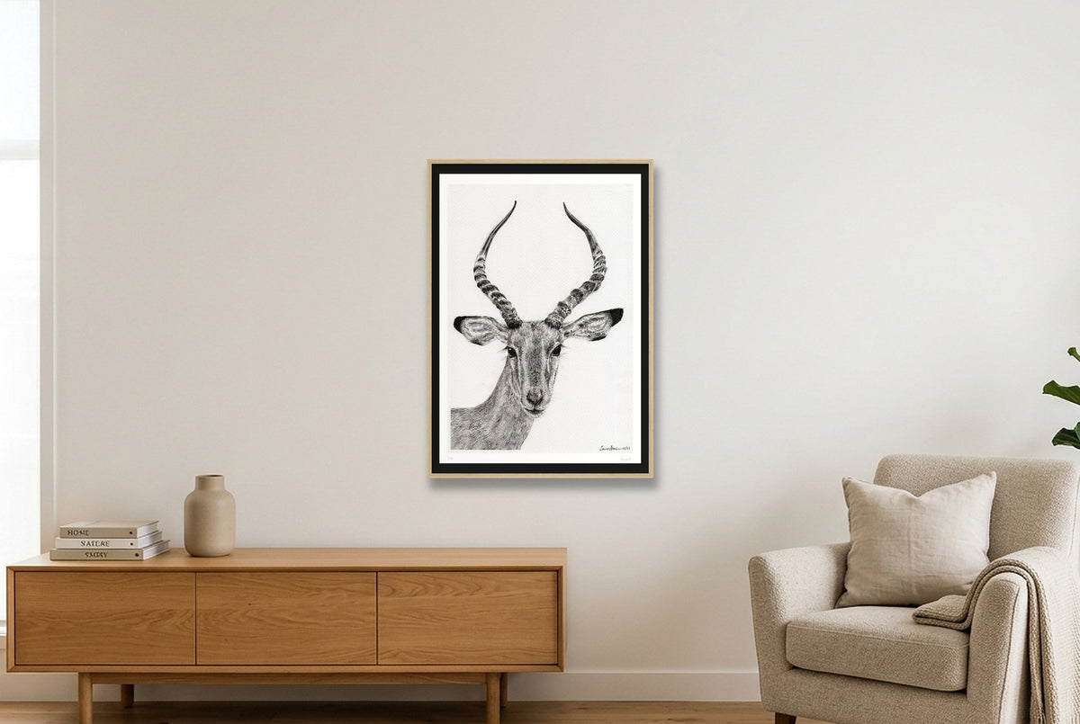 Impalla Giclee Print — 70×100cm, 28×39" Oak Frame