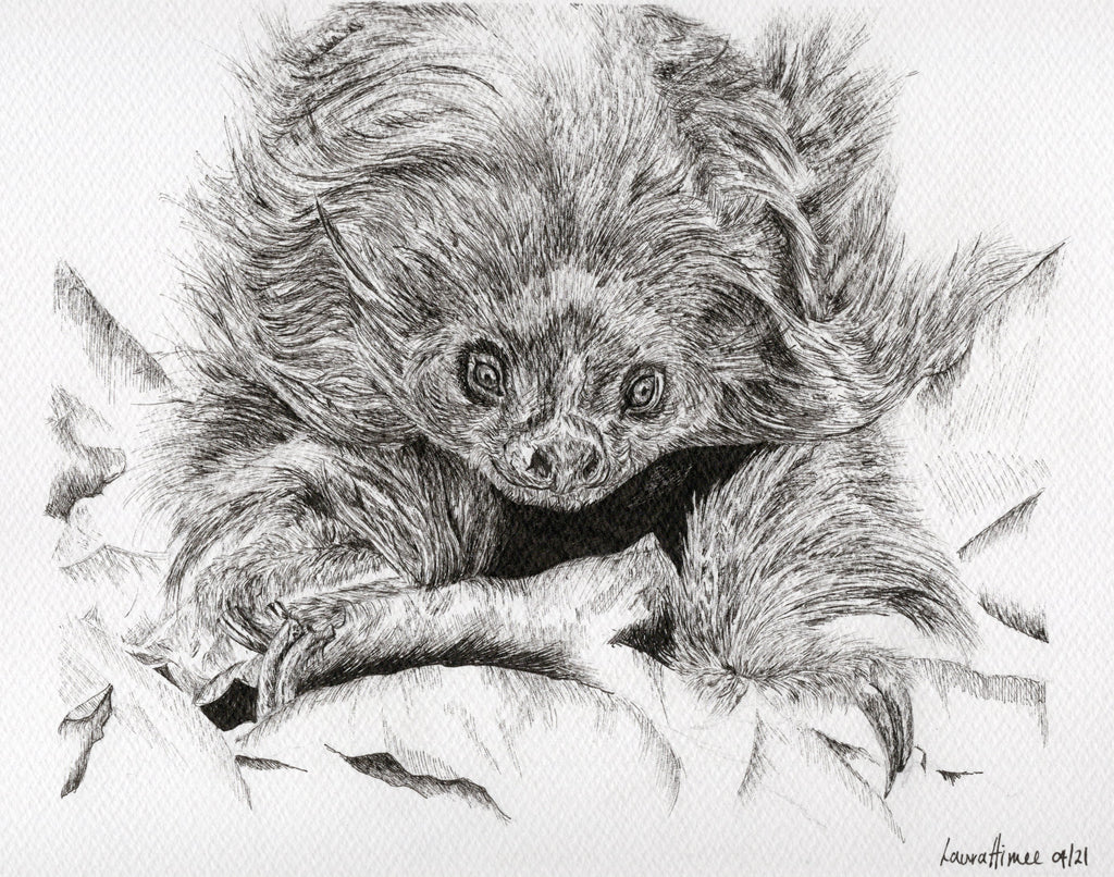Sloth Fineliner Pen Drawing