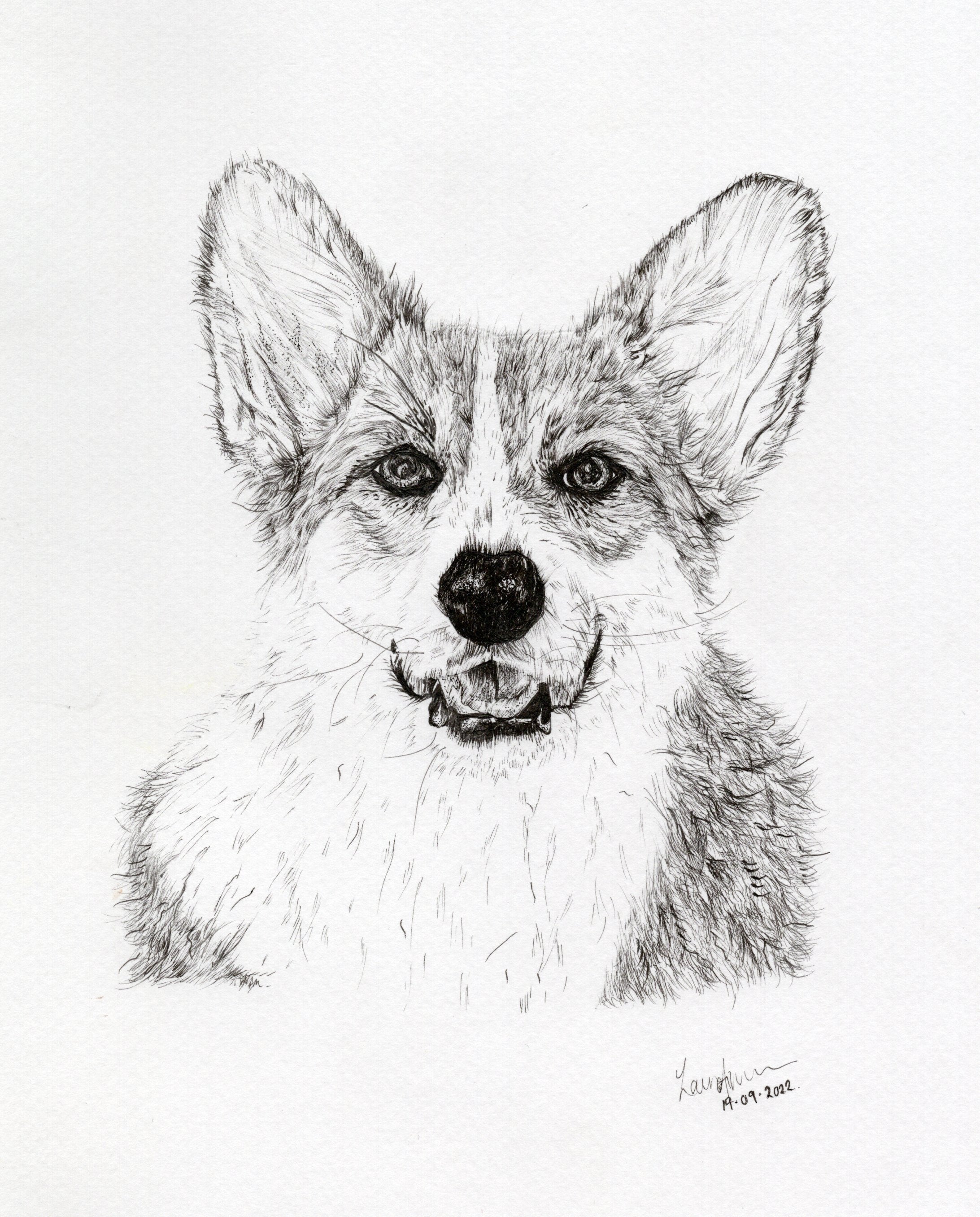 Corgi Fineliner Pen Drawing