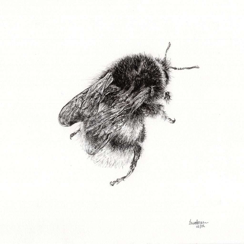 Bumble-Bee Finerliner pen drawing (1/3)