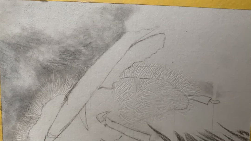 Bumble-Bee Charcoal Drawing