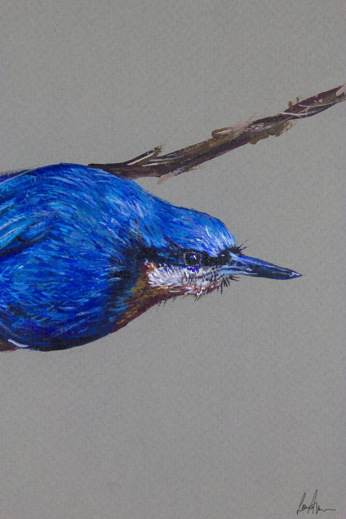 Nuthatch Bird Acrylic Painting