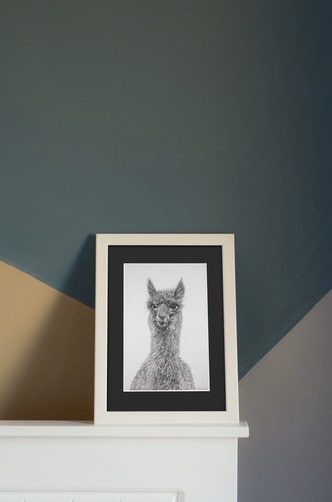 Not to scale example of what the Alpaca graphite drawing could look like framed in situ. 