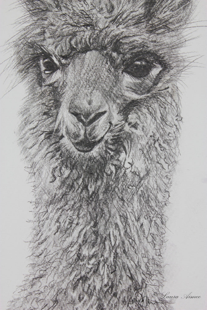 upclose image of the mark marking of graphite pencils in the alpaca drawing. 