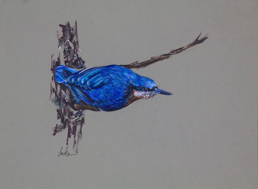 Nuthatch Bird Acrylic Painting