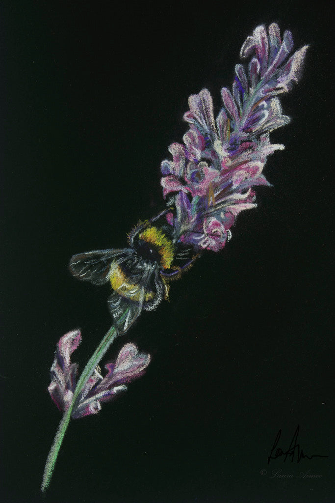Bumble-Bee Pastel Pencil Drawing