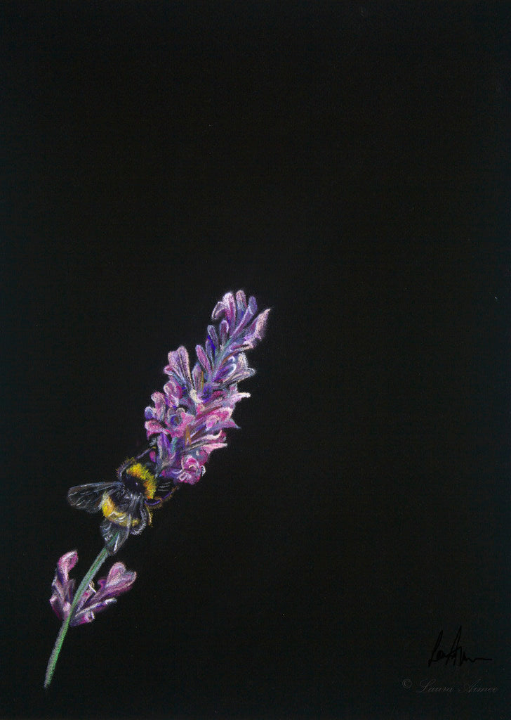 Bumble-Bee Pastel Pencil Drawing