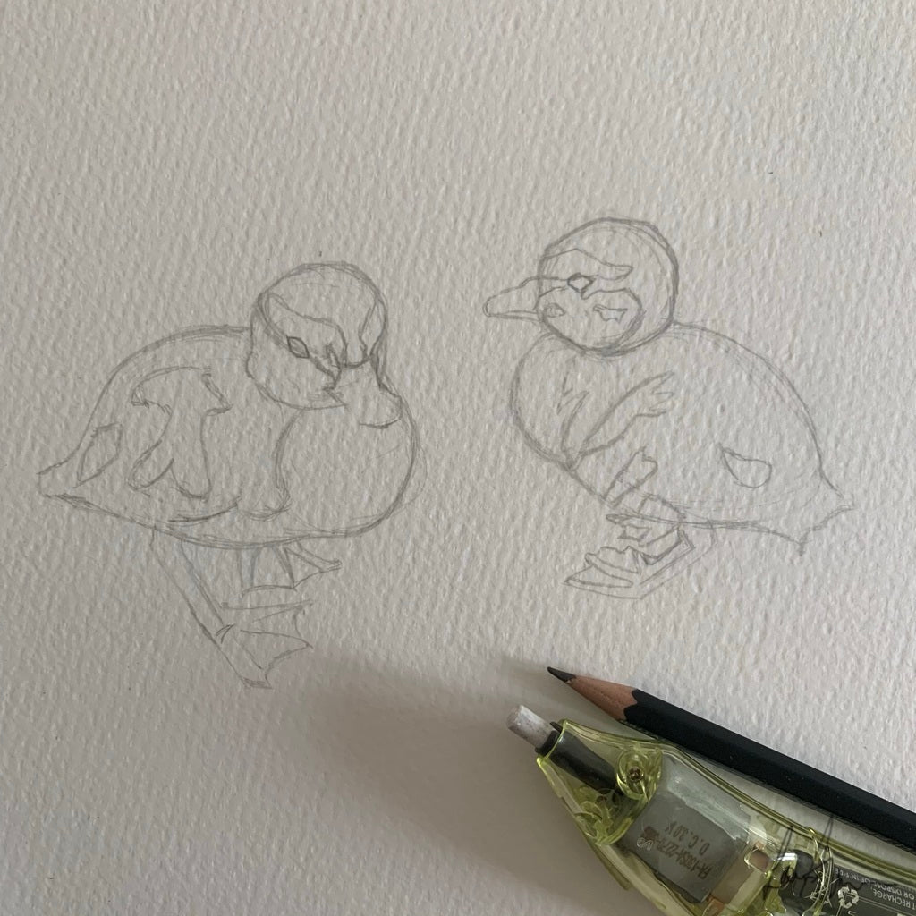 Duckling Watercolour & Fineliner Painting