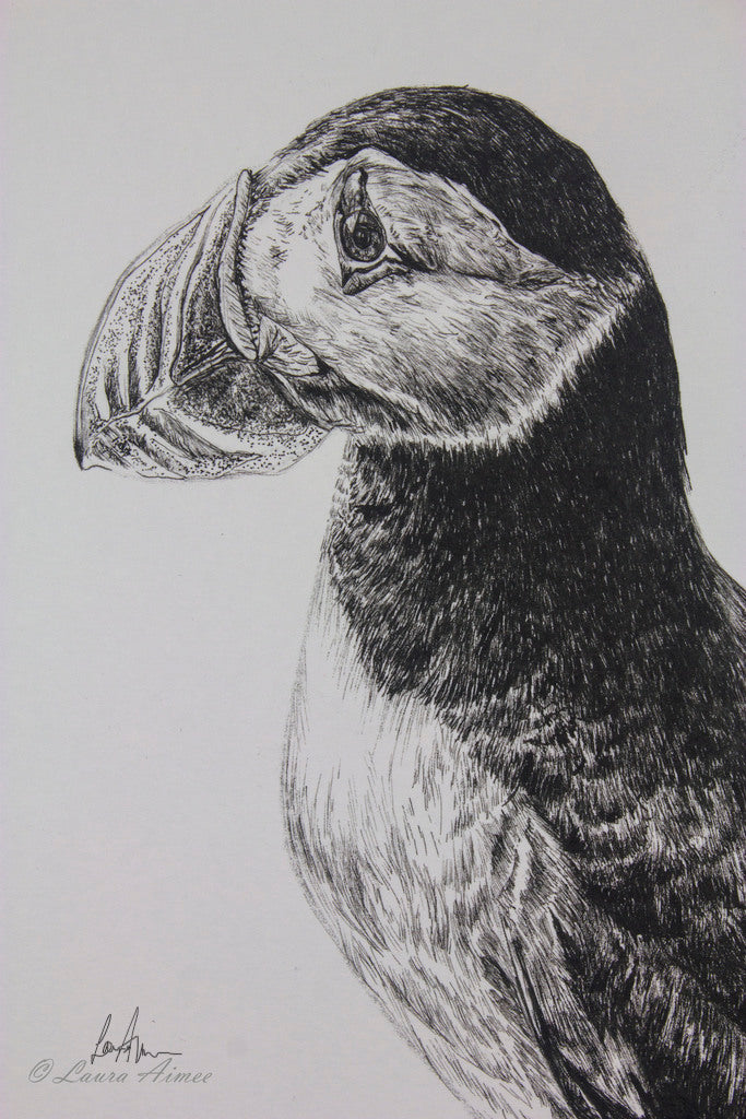 Puffin Fineliner Pen Drawing