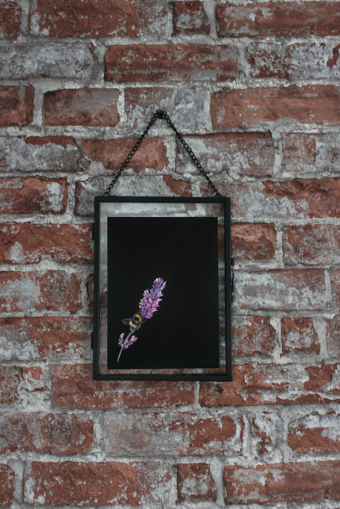 Bumble-Bee Pastel Pencil Drawing