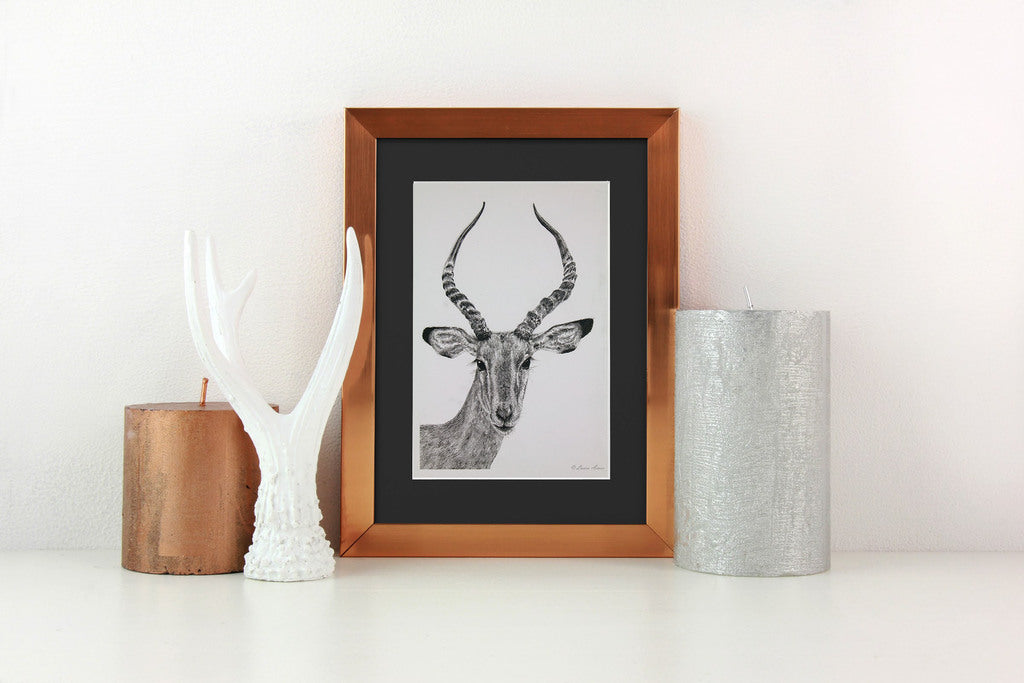 Impala Fineliner Pen Drawing