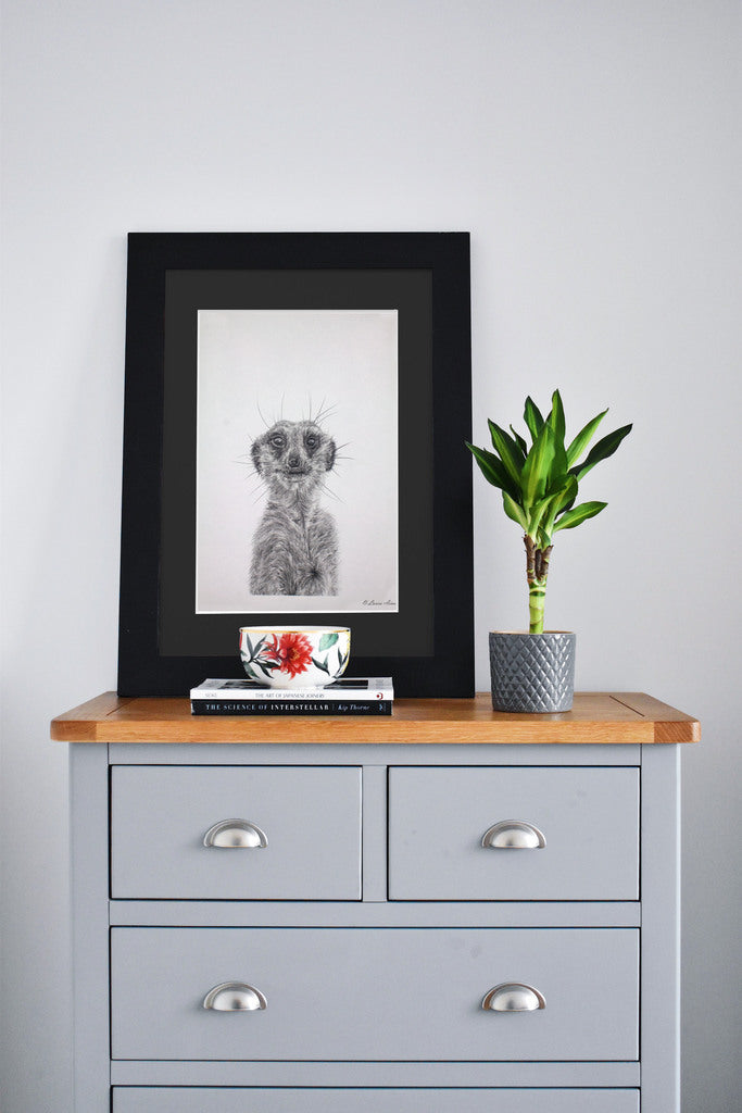 Meerkat Graphite Pencil  Drawing