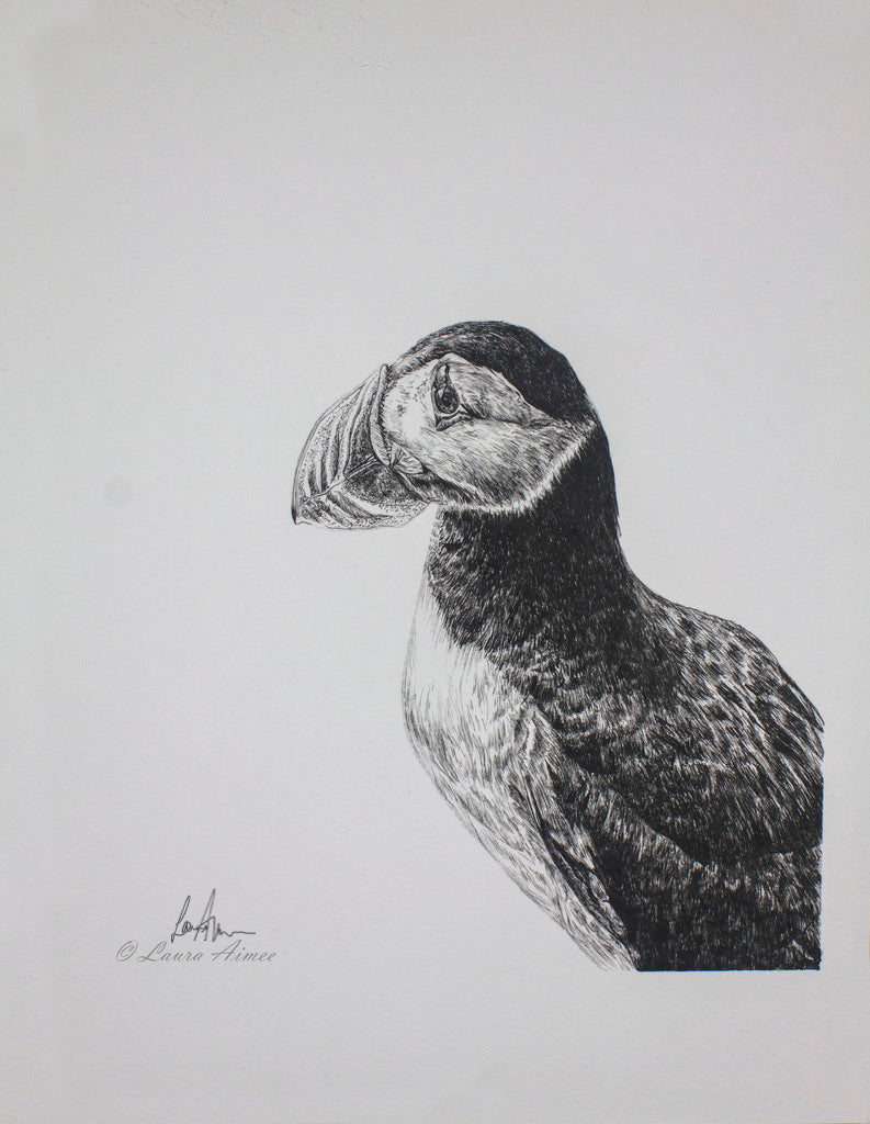 Puffin Fineliner Pen Drawing