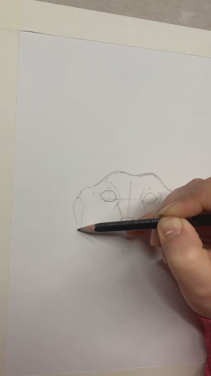 Meerkat Graphite Pencil  Drawing