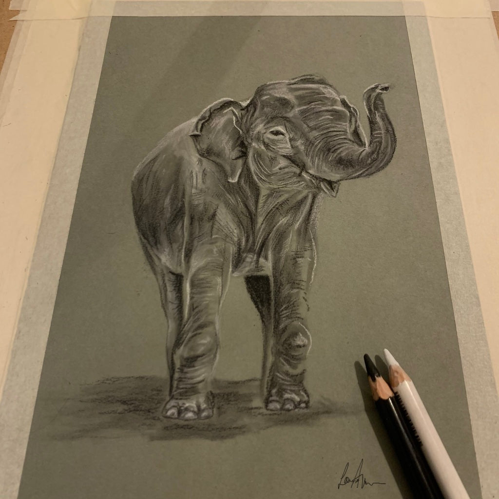 Elephant Charcoal & Chalk Drawing
