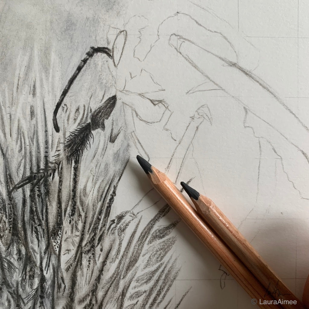 Bumble-Bee Charcoal Drawing