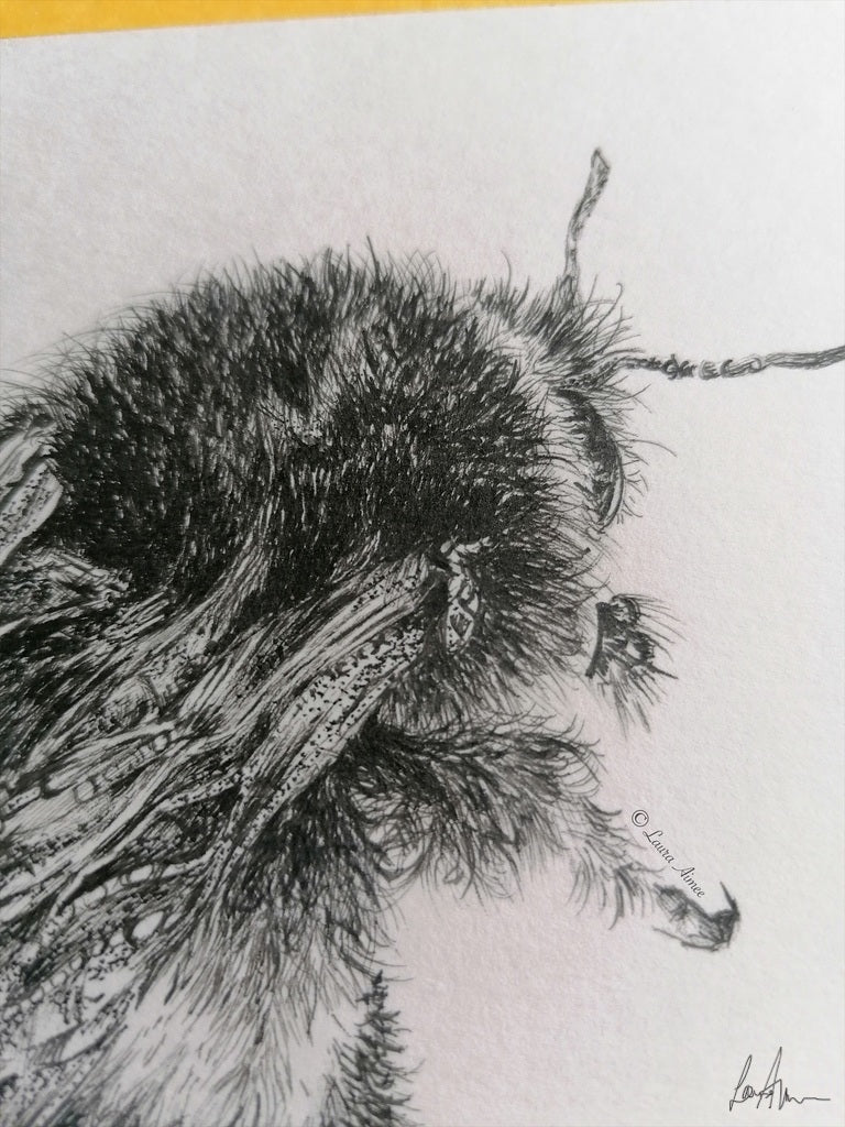 Bumble-Bee Finerliner pen drawing (1/3)
