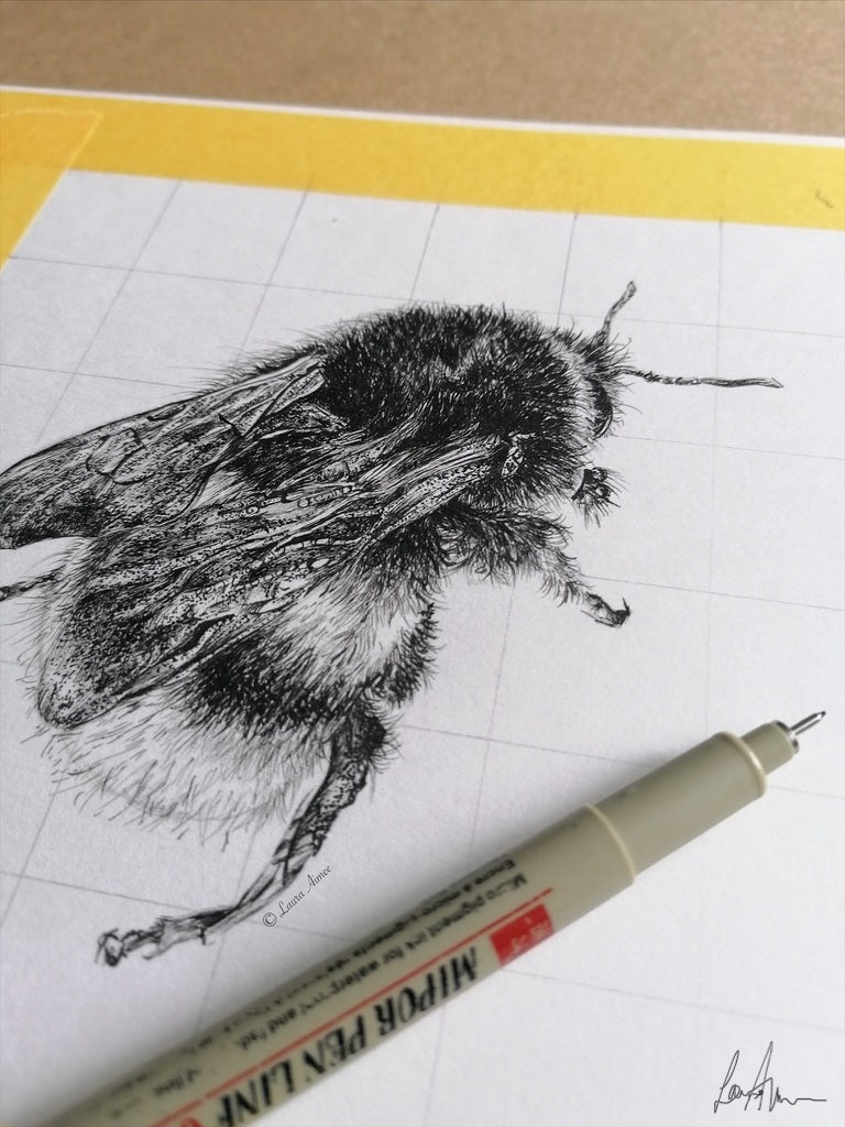 Bumble-Bee Finerliner pen drawing (1/3)