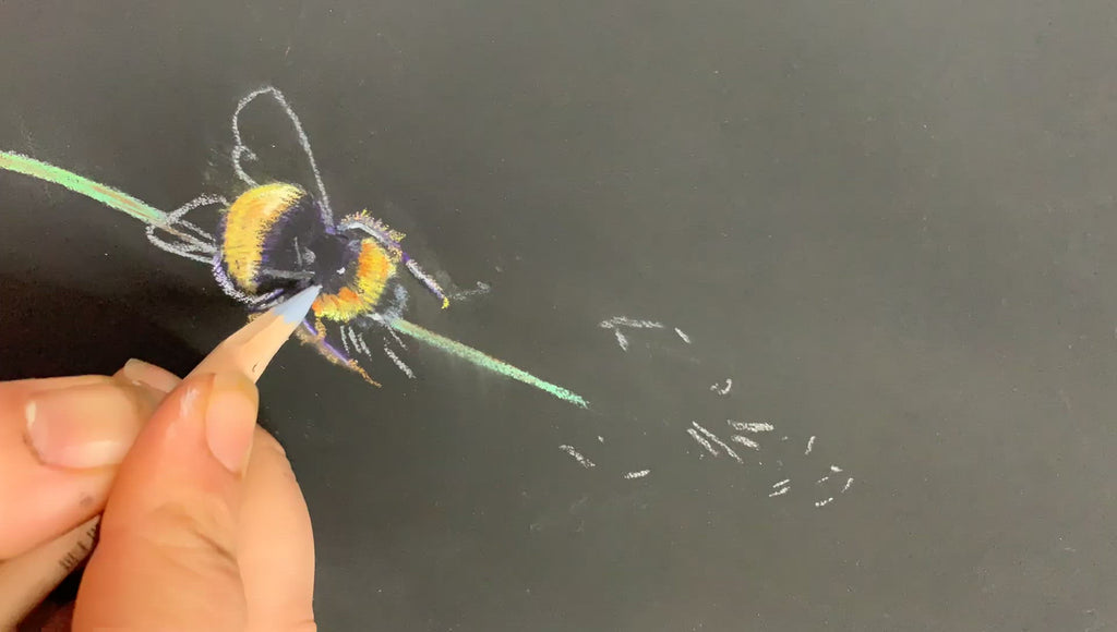 Bumble-Bee Pastel Pencil Drawing