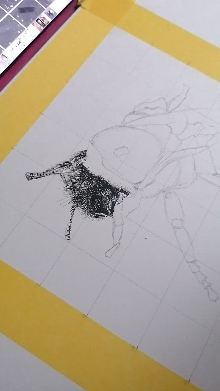 Bumble-Bee Fineliner pen drawing (3/3)