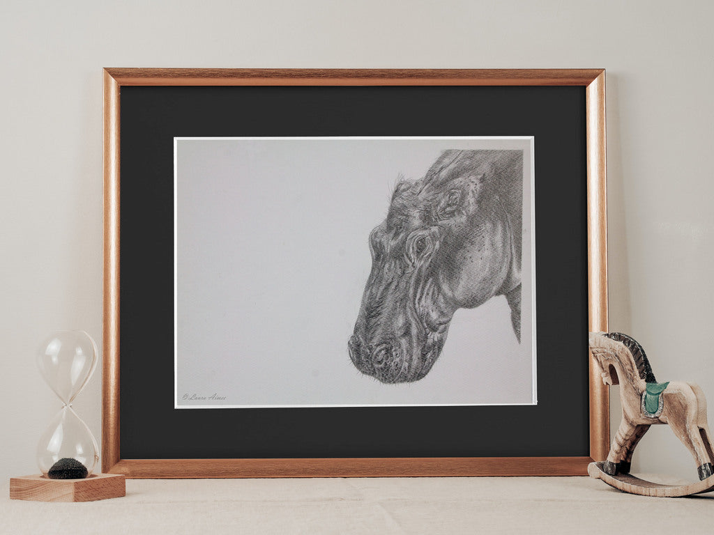 Hippo Graphite Pencil Drawing